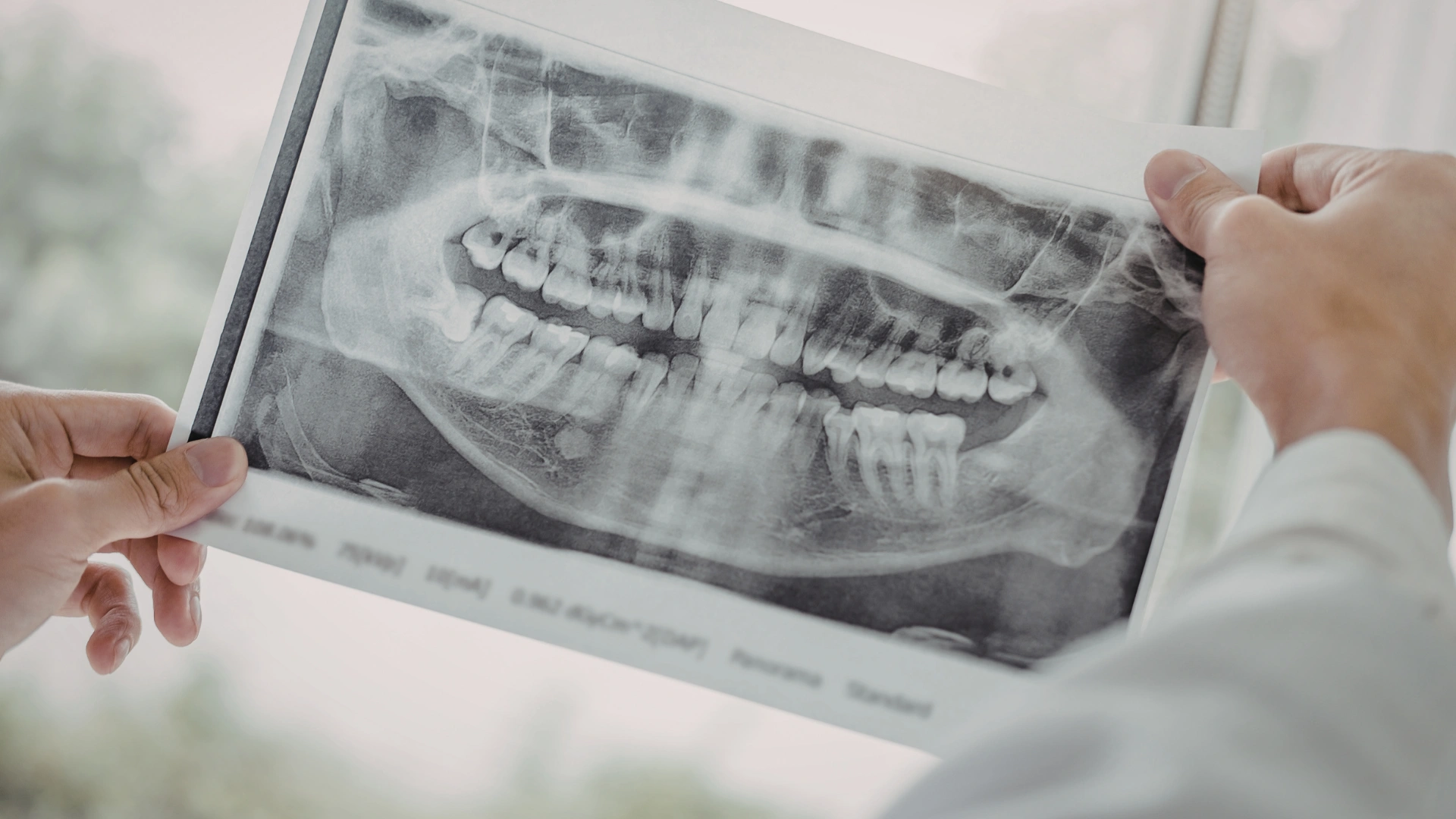 xray services